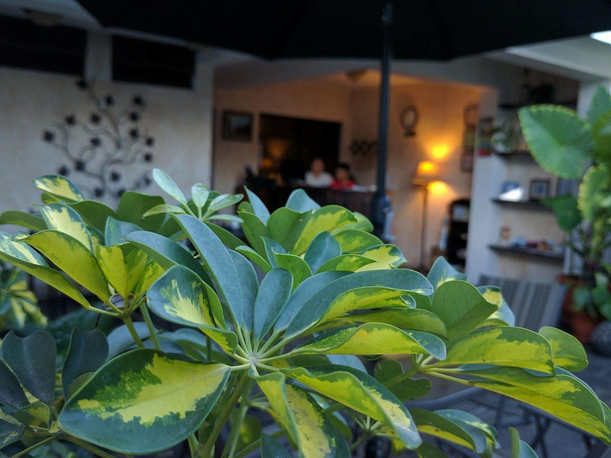 Hotel Posada De La Luna Antigua Ngoại thất bức ảnh
